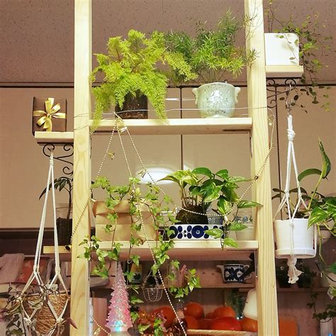 植物 diy